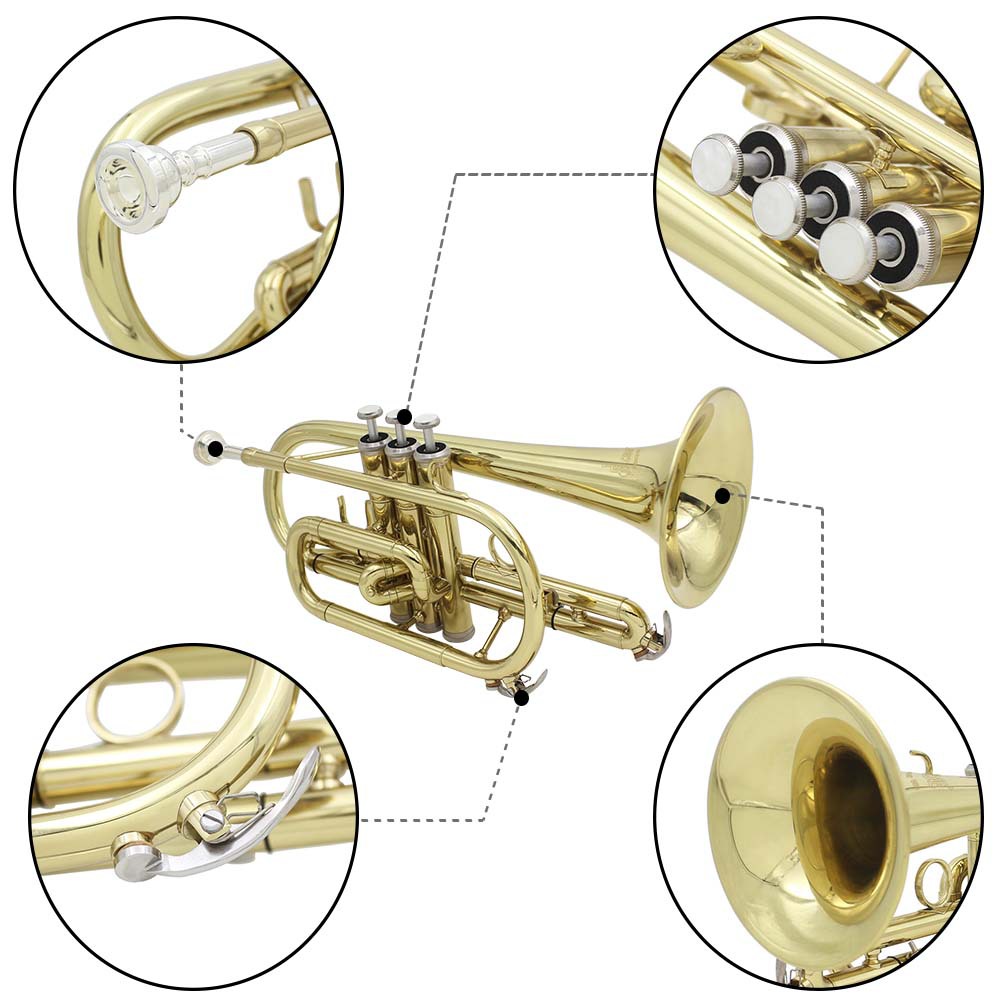 公司产品有木管乐器,铜管乐器,弦乐器,弹拨乐器,打击