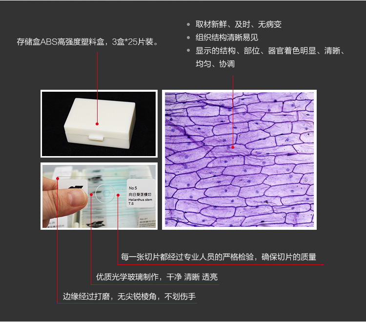5 猫肝切片 liver sec 6 猫肺切片 lung sec 7 兔脊髓切片 spinal