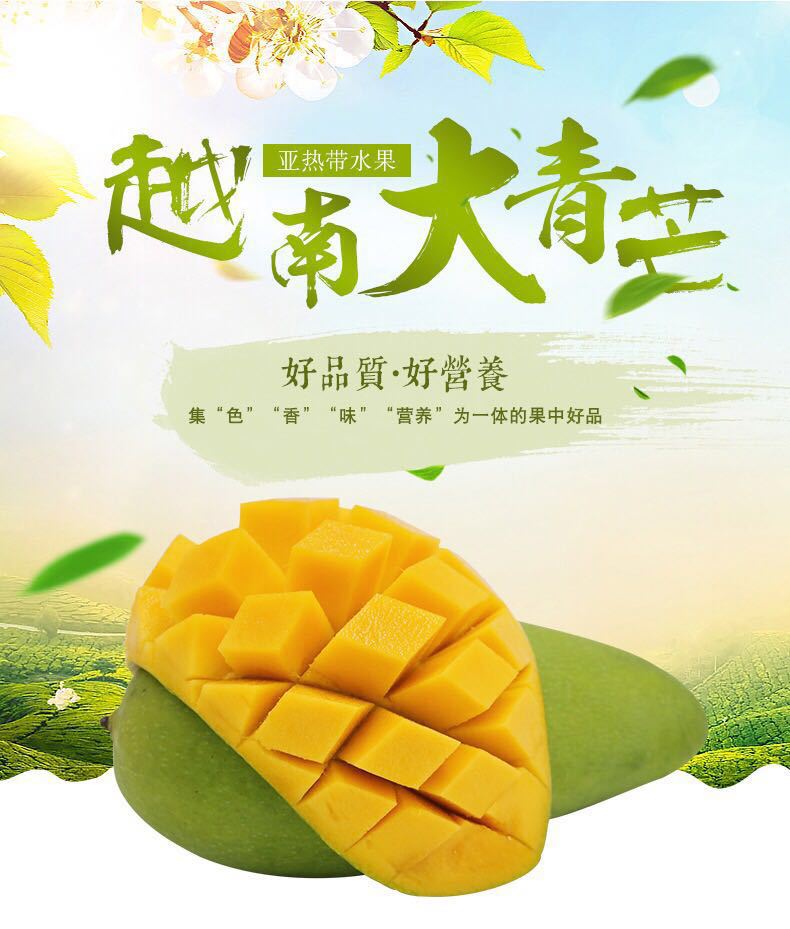 越南进口大青芒8斤装 新鲜青芒个大肉厚核薄香甜现货供应一件代发