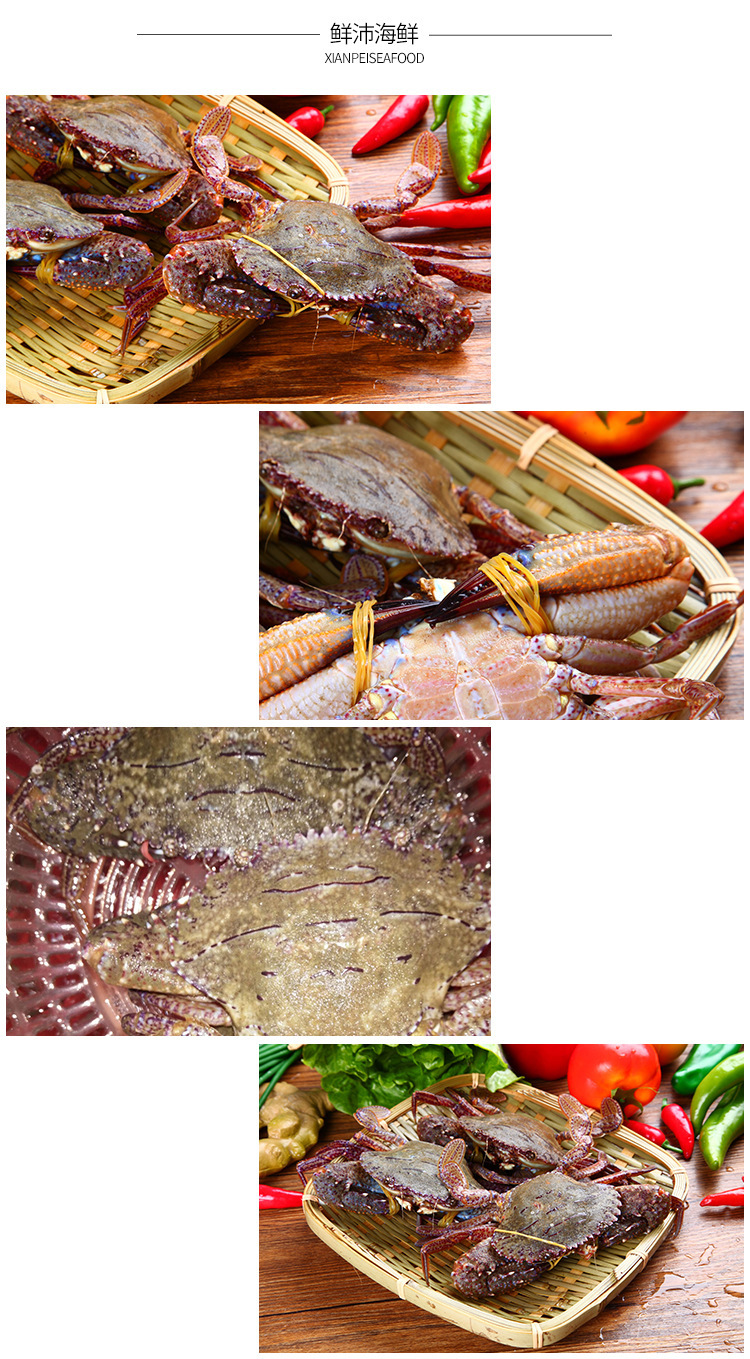 福建特产鲜活石蟹 东山岛鲜活海鲜海产品 微商批发黑虎蟹0.5以上