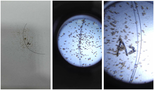 替代天然饵料 水产种苗生物饵料 微胶囊饵料 a0-a2,b1-b2 2kg
