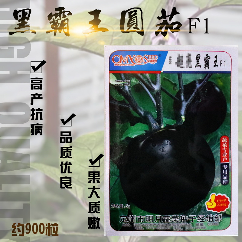 明月黑霸王圆茄种子 农田菜园中熟大果紫黑油亮茄子蔬菜种子批发