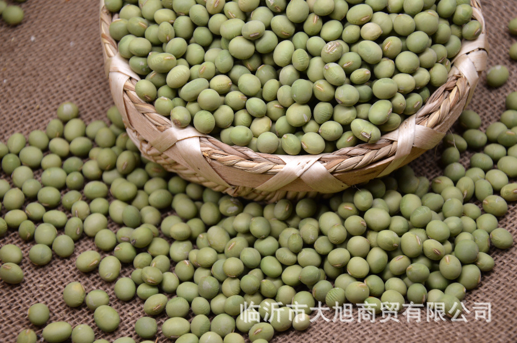 大自然的光合作用生长环境青豆又名青大豆,为豆科大豆属一年生草本