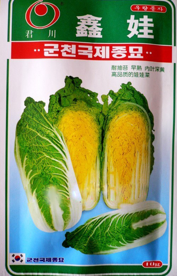 蔬菜种子 鑫娃黄心娃娃菜种子 小型白菜优选品种 韩国种源10g