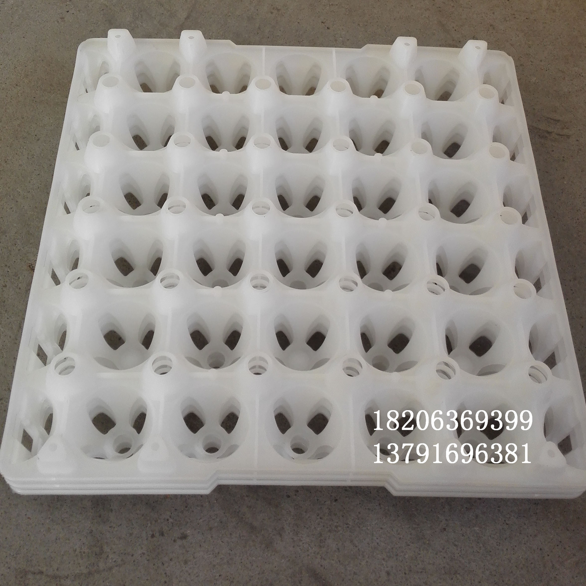 纯原料pp塑料30枚鸡蛋托30枚周转蛋托厂家批发蛋托