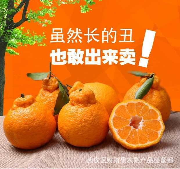 丑橘广告图片