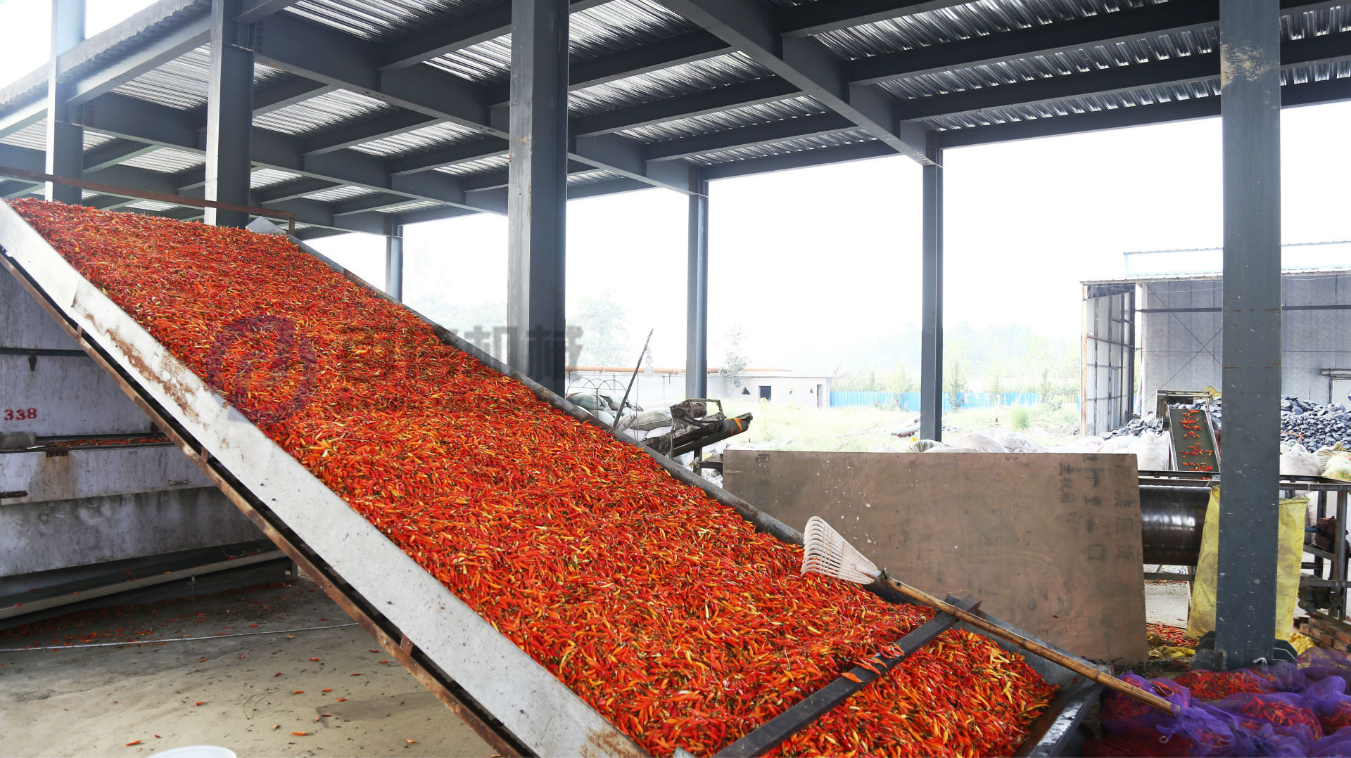 辣椒烘干机多层带式川椒干燥机网带式辣椒烘干设备现货供应