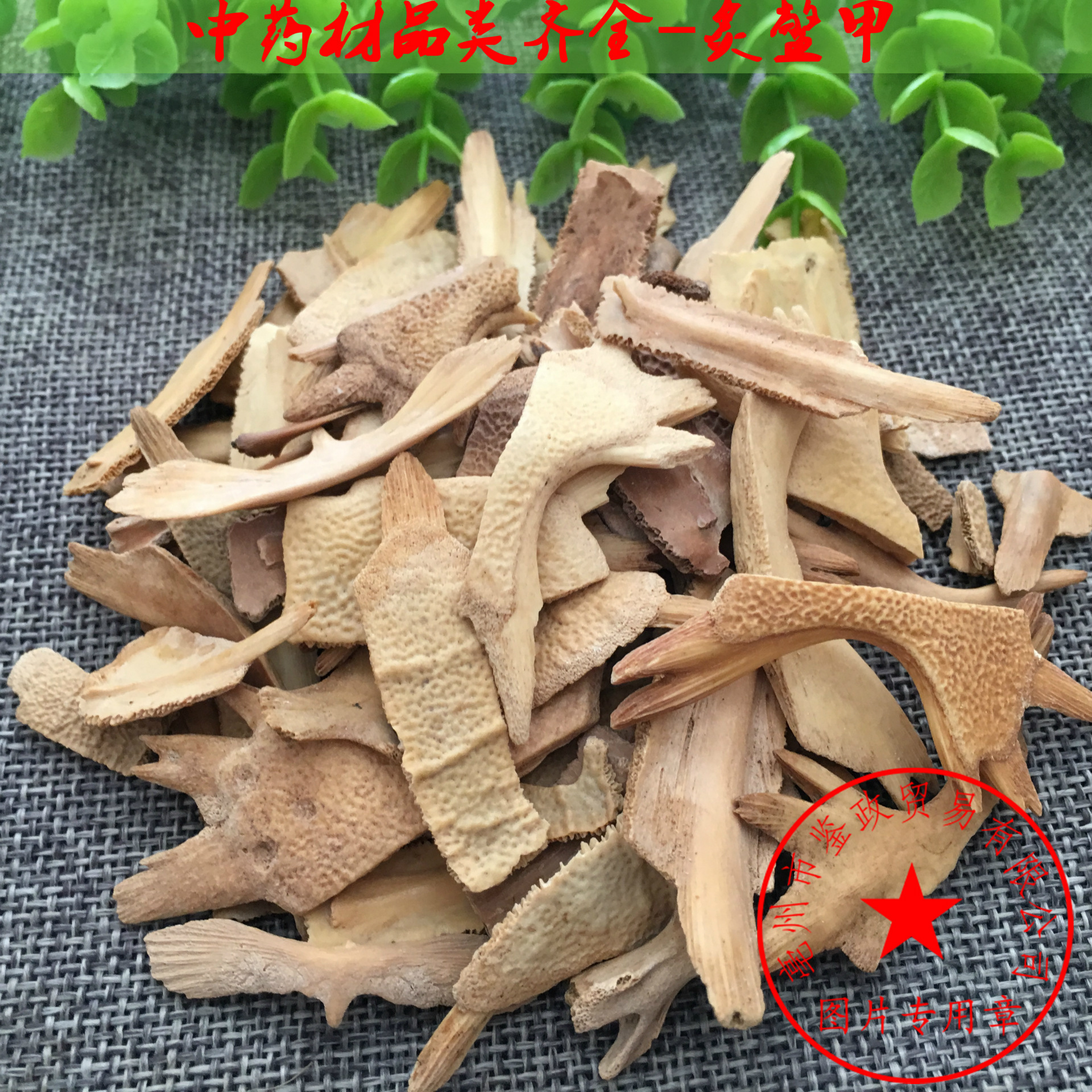 中药材批发 鳖甲 炙鳖甲 生鳖甲 醋鳖甲一手货源 支持药检