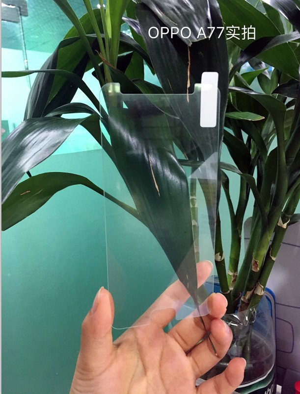 【oppo】工厂批发oppoa77钢化膜 钢化玻璃膜oppoa77 手机贴膜