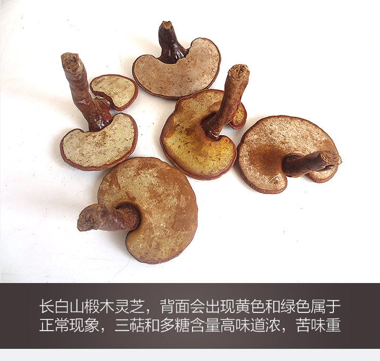长白山野生赤灵芝片50克袋装紫灵芝片紫灵芝赤灵芝整枝灵芝粉产地