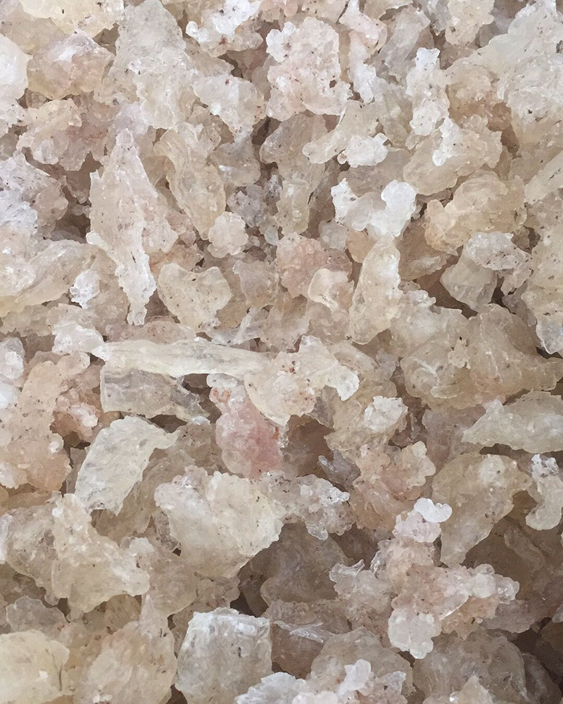 拉丝雪燕 野生植物燕窝搭配桃胶皂角米 拉丝好产地直销 一手货源