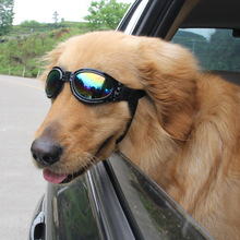 吉仔仔狗狗用品批发狗狗太阳镜夏季 护眼饰品绑带狗眼镜宠物眼镜