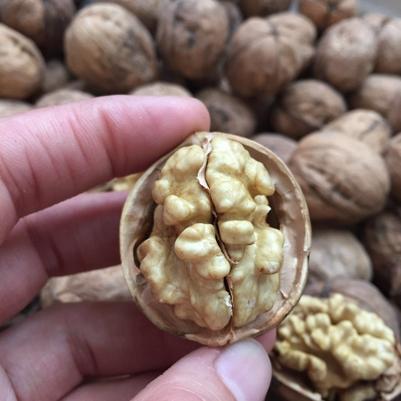 新疆阿克苏185纸皮核桃薄皮原生态核桃原色无漂白无加工