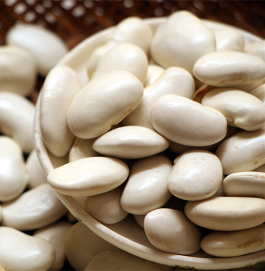 白芸豆五谷杂粮 大白豆新货 云南大白芸豆豆子粗粮 农家特产