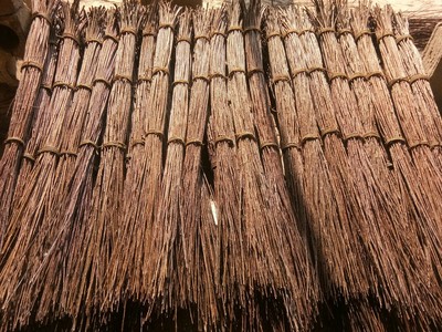 红柳条皮柳条带皮柳条