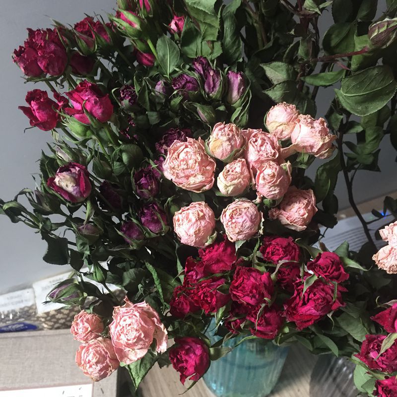 【多头小玫瑰】蔷薇 泡泡 多头玫瑰干花