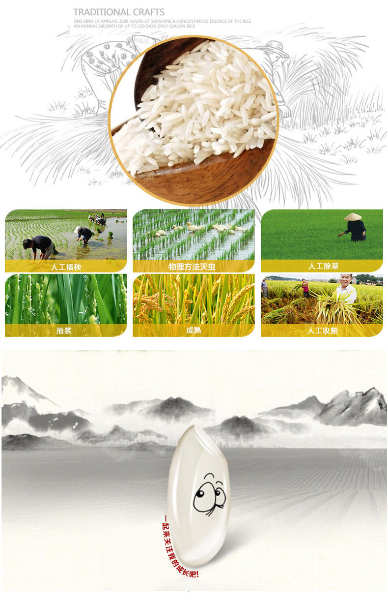 特产美香新占 绿色健康有机食品零售批发 养生的大米自然香送礼