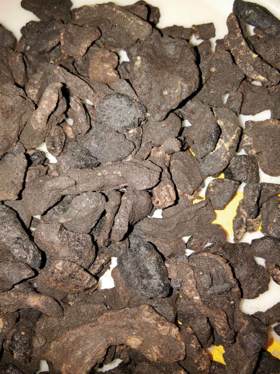 生地黄 生地碳 干地黄 熟地炭 量大从优