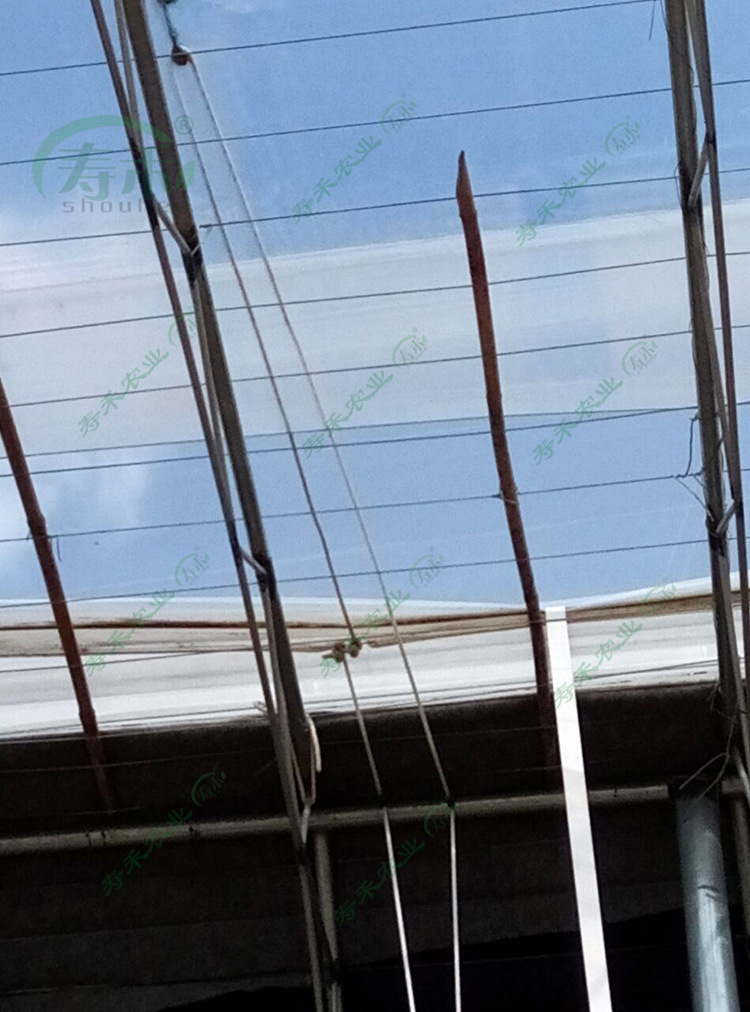 蔬菜大棚放风滑轮 镀锌铸铁塑料 铁皮滑轮放风口尼龙小滑轮定吊轮