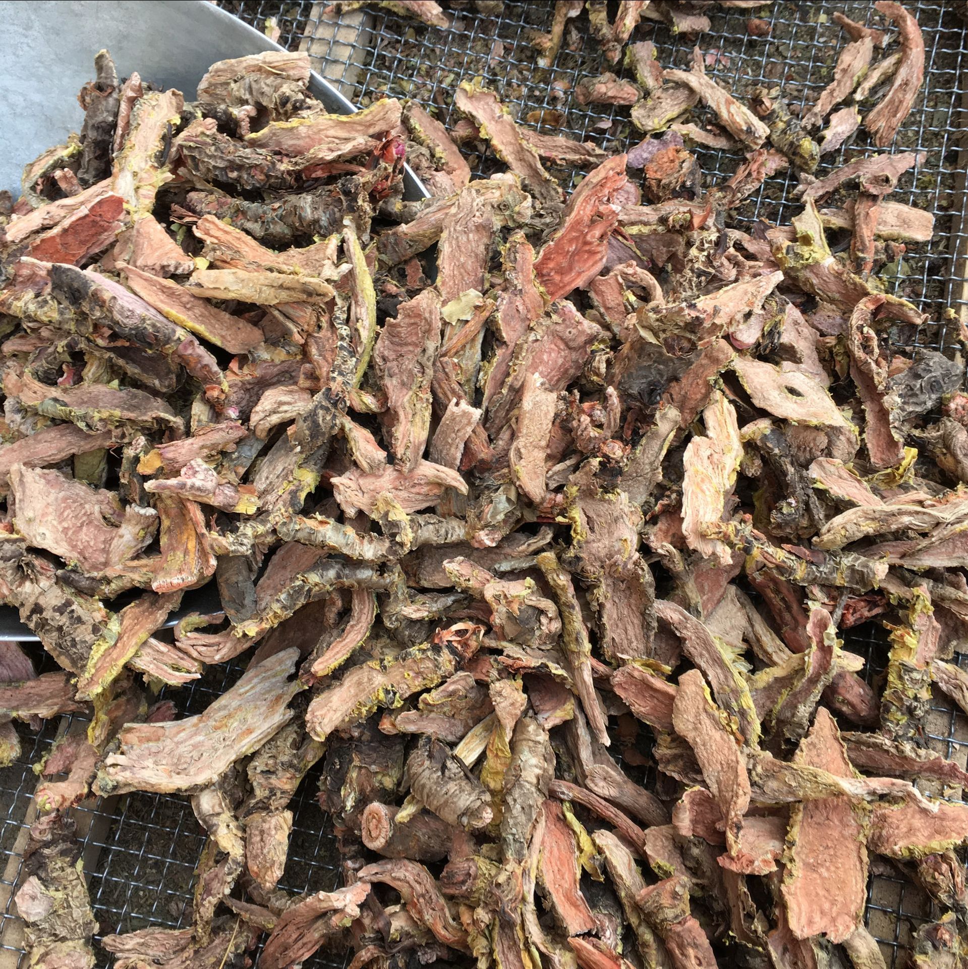 常富中药材 西藏大花红景天 红景天片 粉 红景天茶 提供大货