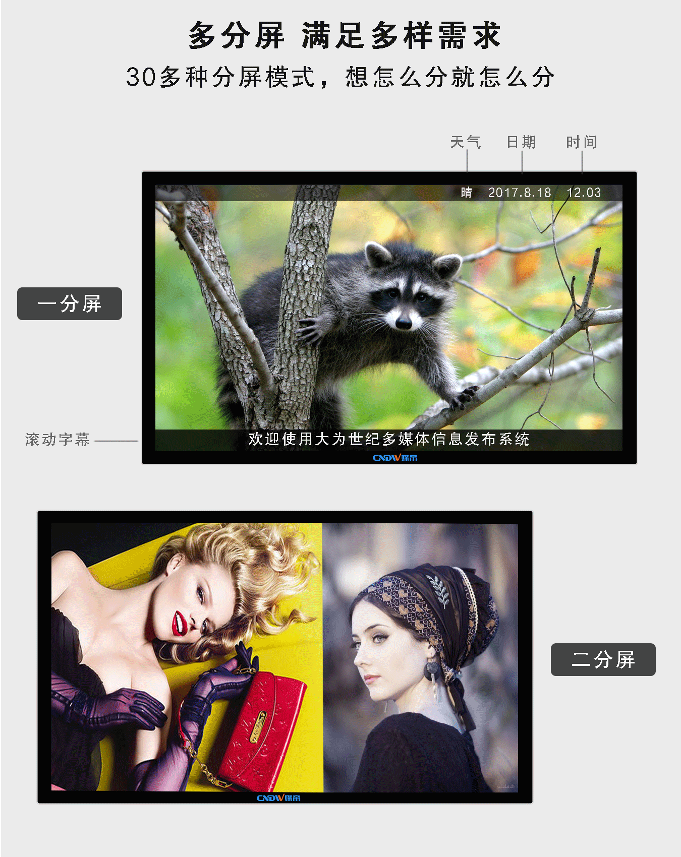 43寸单机版广告机 钢化玻璃面板防震防爆 坚固耐用 壁挂式广告机