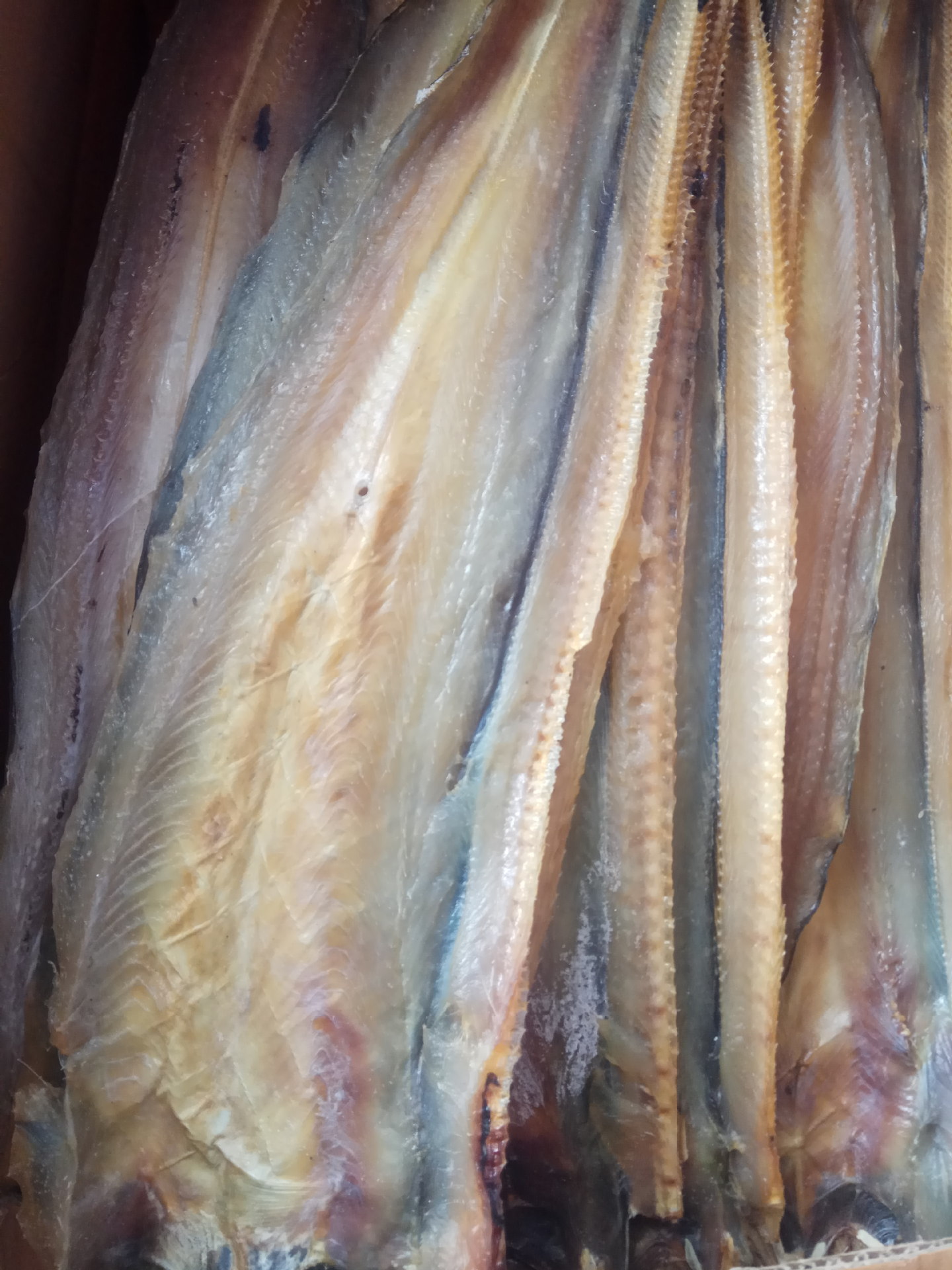 厂家批发海鲜干货大鳗鱼干渔家自晒当季新货淡晒海鳗干