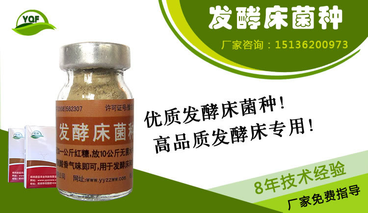发酵床养猪菌种