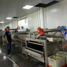 厂家直营马铃薯毛辊去皮清洗机 胡萝卜清洗去杂机 果蔬清洗设备