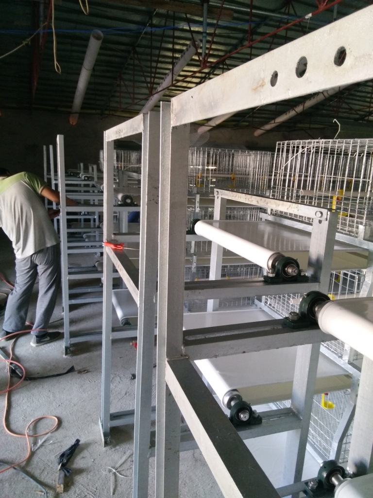 肉鸡笼厂家批发 山东蛋鸡自动清粪机厂家批发 鸡舍自动清粪机厂家