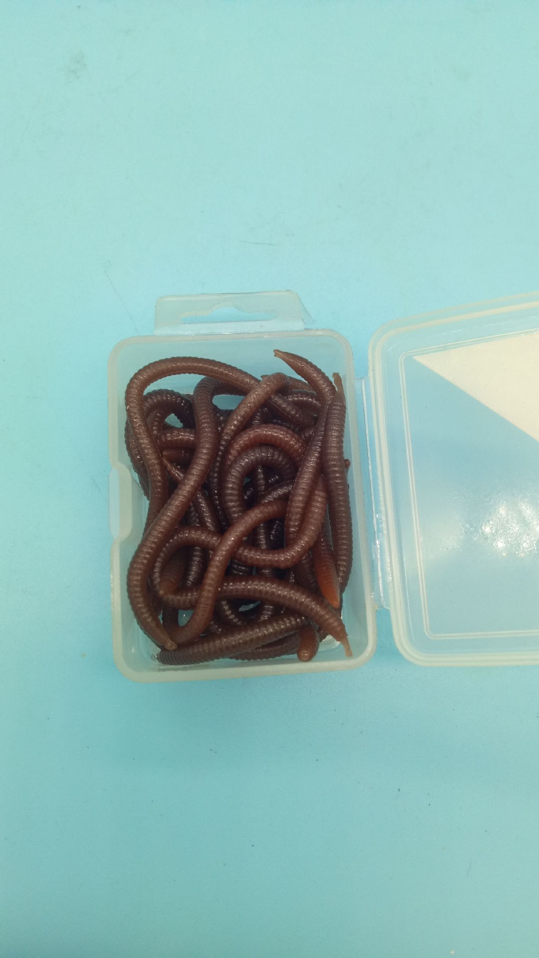 盒装带味假蛆假蚯蚓假海蚕假红虫 软虫软饵拟饵路亚饵鱼饵鱼料鱼