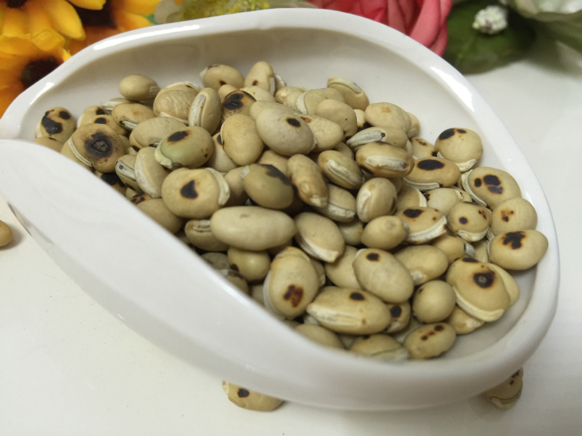 白扁豆 Bai Bian Dou / White Hyacinth Bean - TCM Herbs USA 颐安行