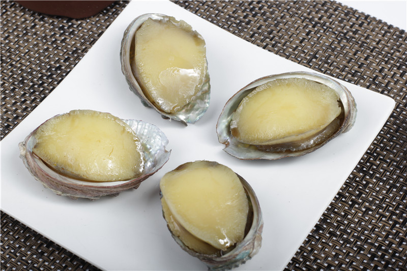 商品介绍 model food 产品名称:仿真鲍鱼模型