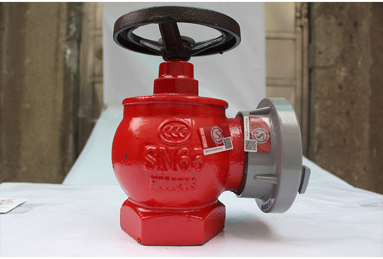 厂家供应天广牌室内消火栓室内消防栓消防器材 消防配件sn50 sn65