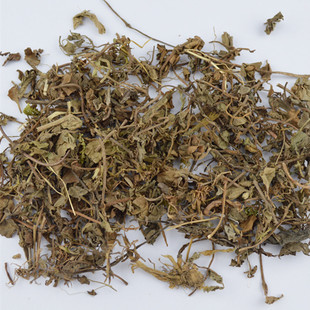 德丰供应冷背 走游草 小红藤 小红药 铜丝绊 爬山虎