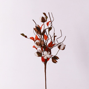 生产供应 红色棉花壳工艺品 pe棉花干花 手工家居摆设装饰用品
