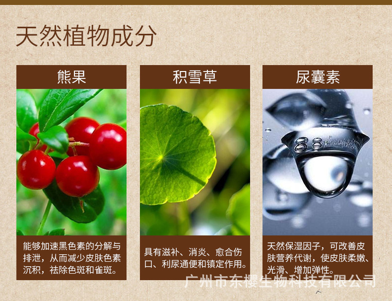 熊果苷清斑原液 中药萃取美白清斑精华液去雀斑黄褐斑oem代加工