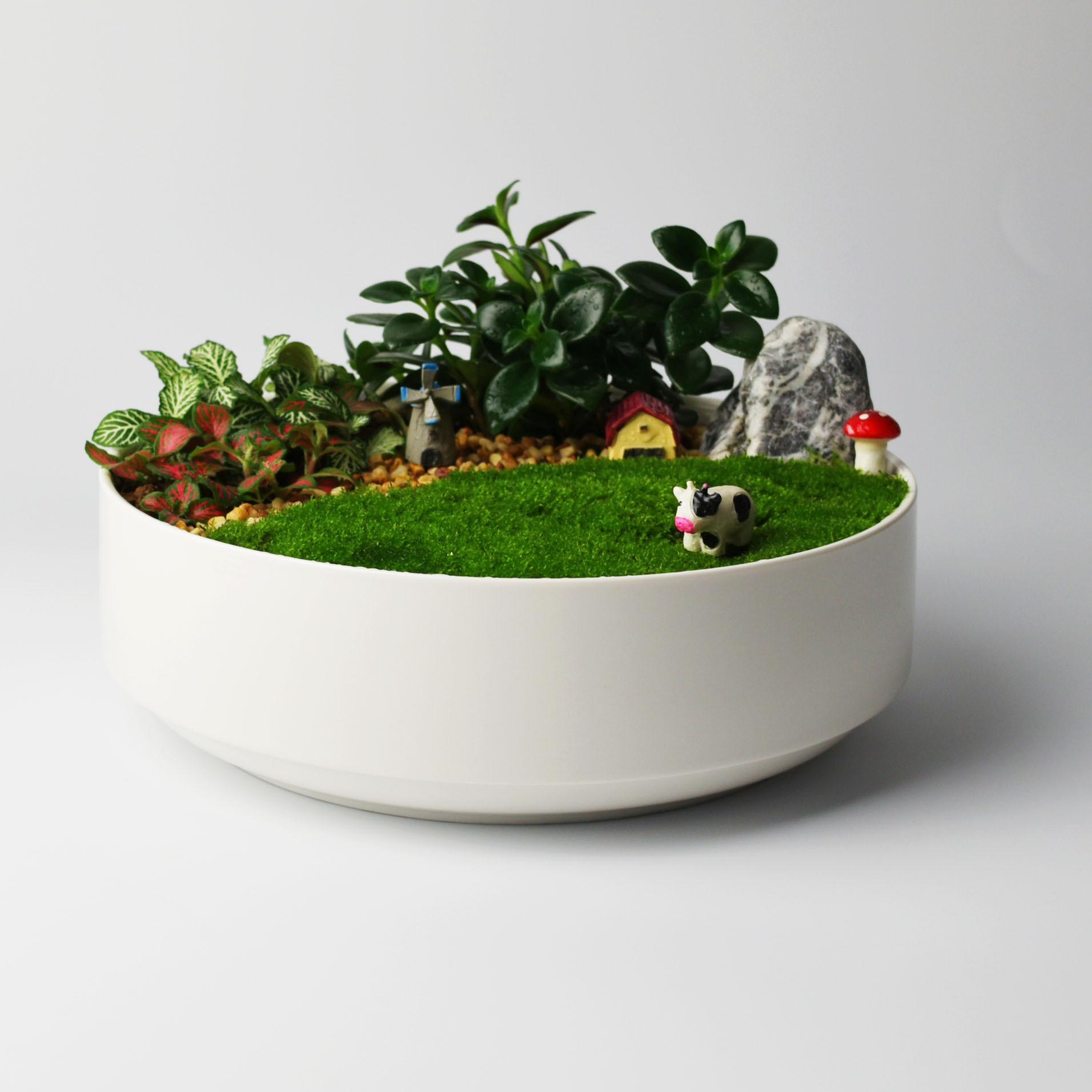 陶瓷花盆 简约创意多肉植物圆形大号拼盘花盆 绿萝微景观盆栽花盆