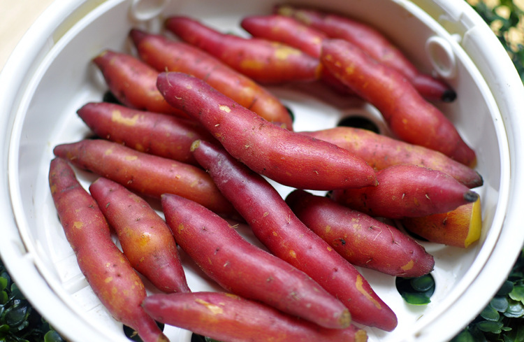 临安天目小香薯 酒店子 拇指番薯 迷你小红薯批发5斤一盒包邮