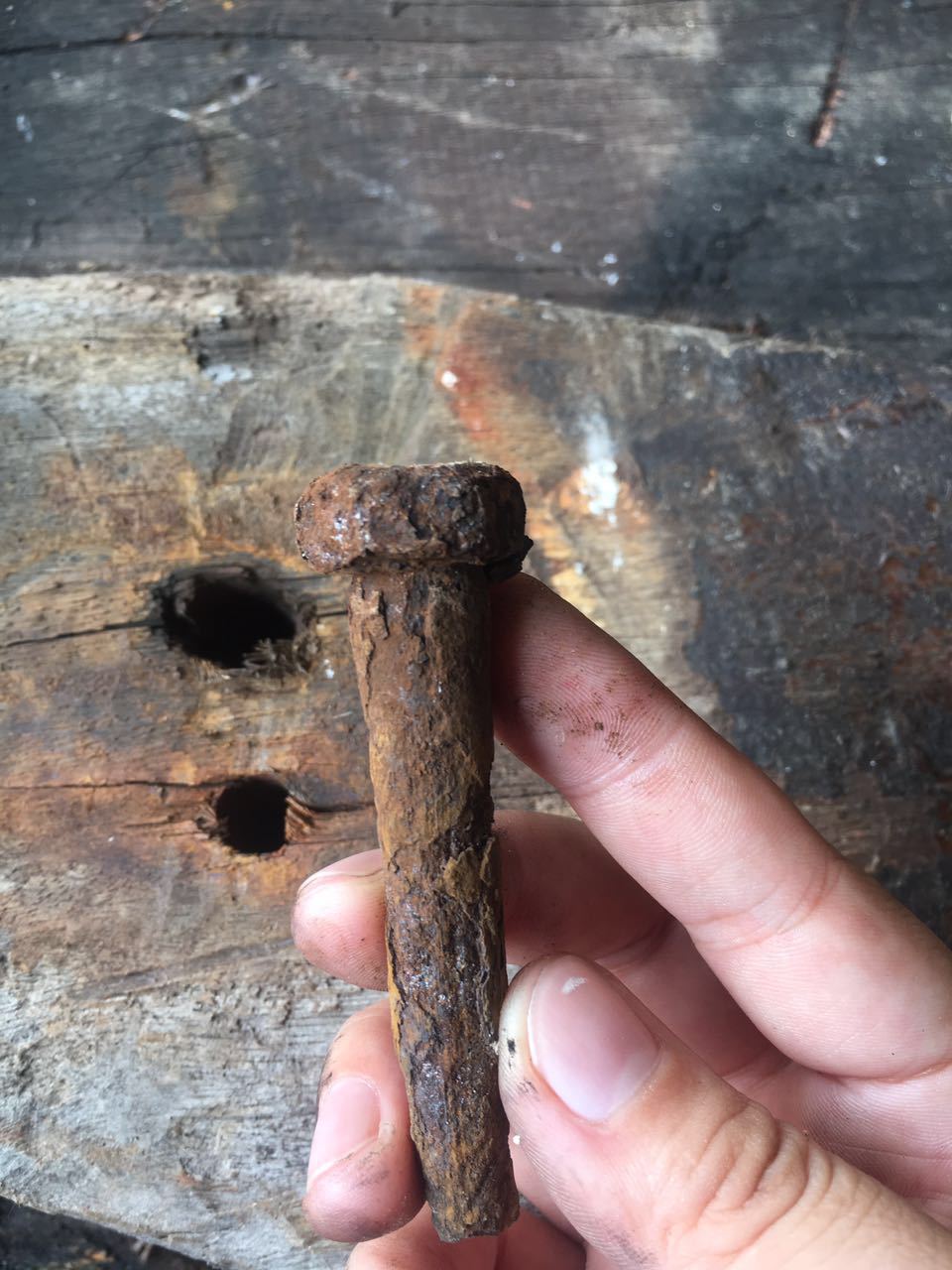 这些钉子是人工一颗颗拔出来的.这得花多大力气呀