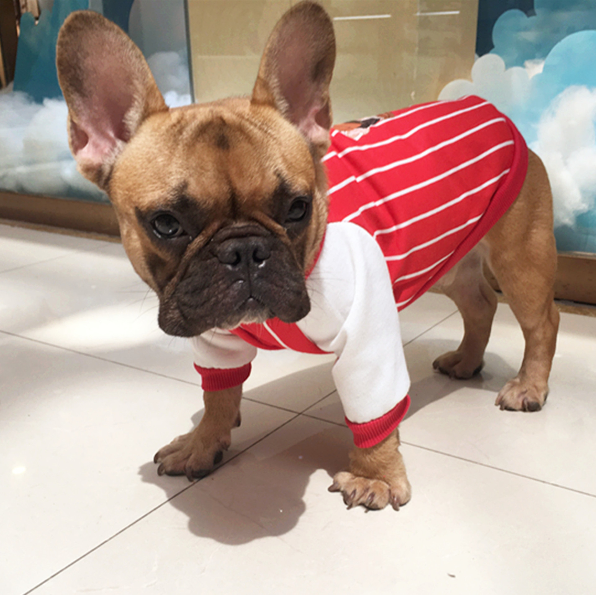 宠物用品新款宠物狗衣服斗牛犬条纹卫衣狗狗衣服秋冬服装现货批发