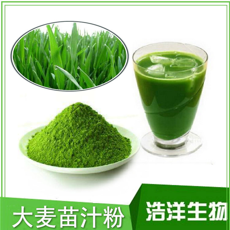 大麦若叶粉 大麦苗汁粉 大麦苗提取物 浩洋生物