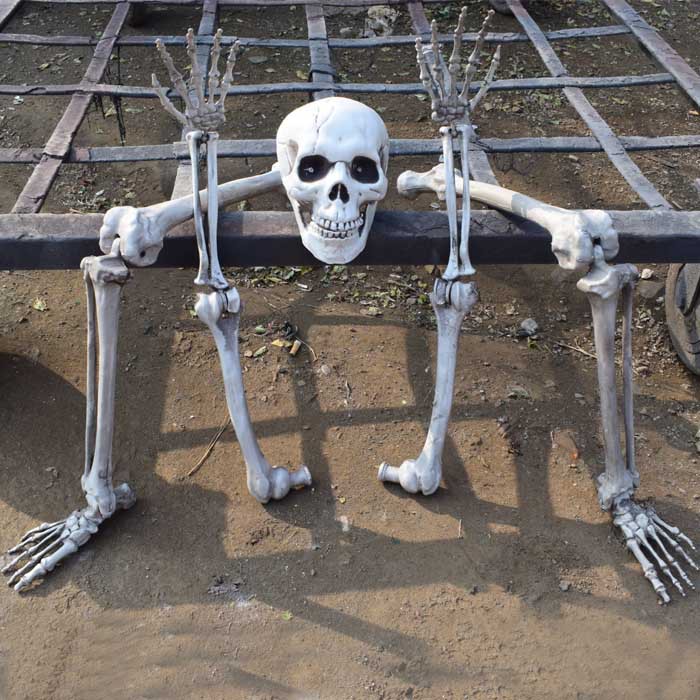 万圣节道具鬼屋密室逃脱机关装饰摆件恐怖骷髅头骨架肢体五件套