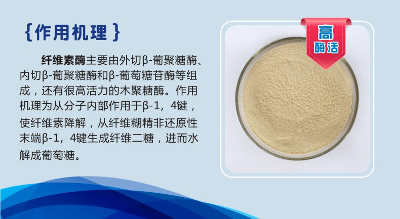 庞博 纤维素酶 1万 非淀粉多糖 植物纤维分解 食品级