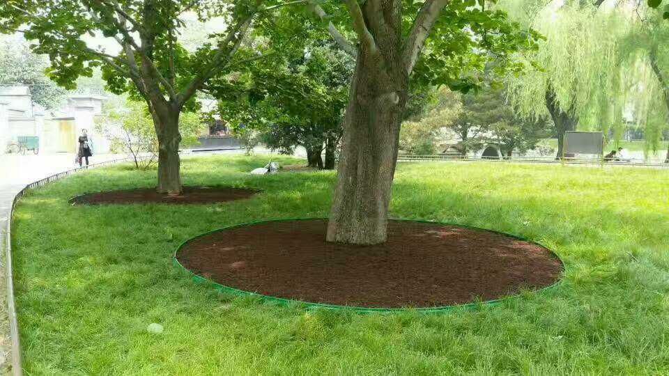 园林绿化规划草石隔离带 隔根板 绿色胶带 胶管10cm 15cm 宽