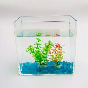 透明亚克力鱼缸