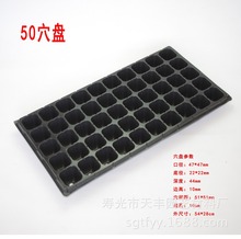 蔬菜瓜果种苗50穴3号苗厂多肉加厚黑色塑料方形育苗穴盘批发