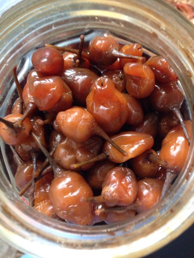 七彩椒3斤包邮链接,新鲜幸运星,广西五色椒 五彩泡椒