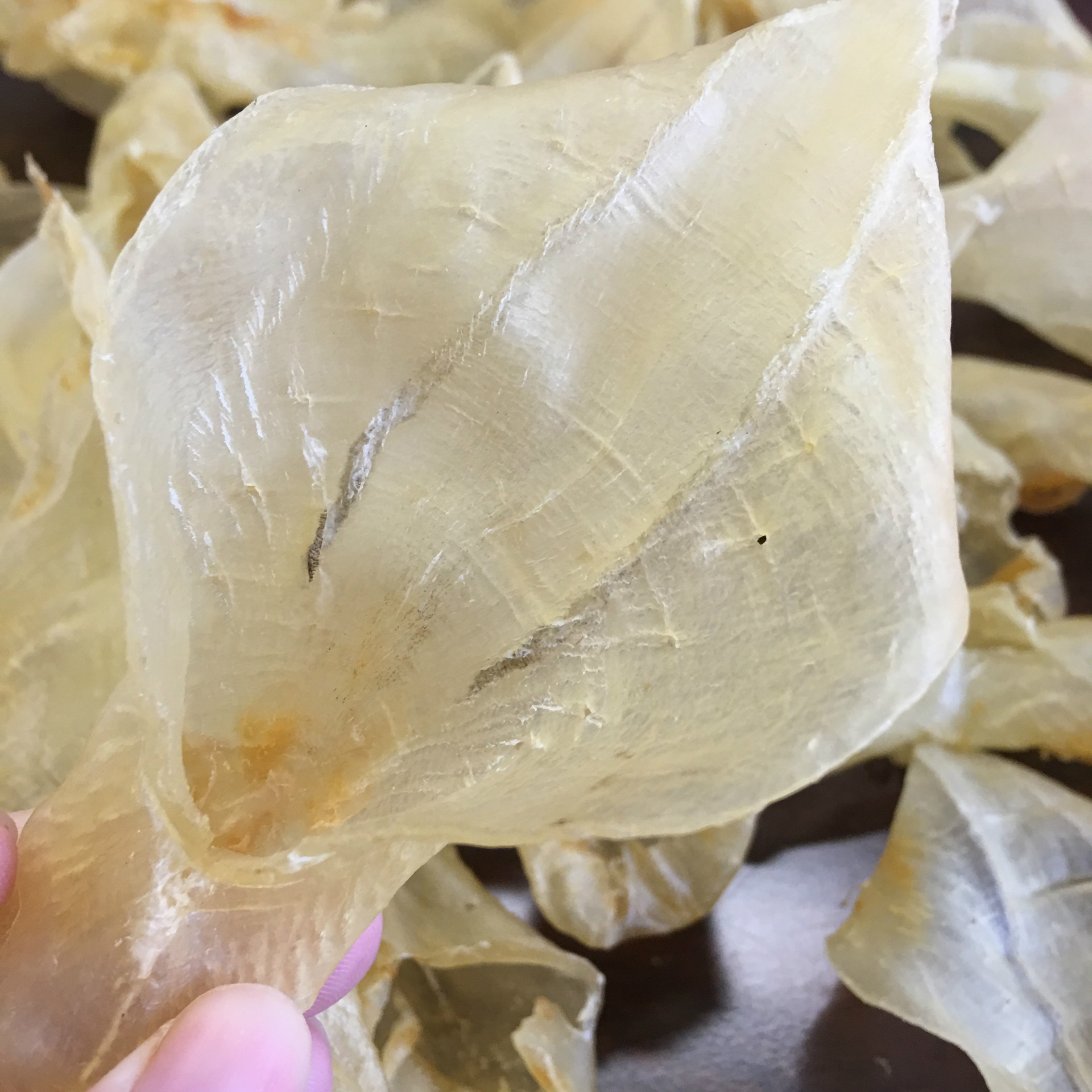 【本港白花胶】白花胶作为鱼胶中名贵的品种之一.白花胶的个头虽