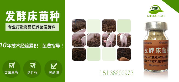 发酵床菌种
