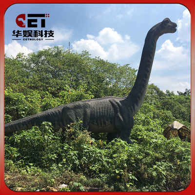 长脖子恐龙 高恐龙 仿真恐龙厂家 大型恐龙制造 江苏恐龙展道具
